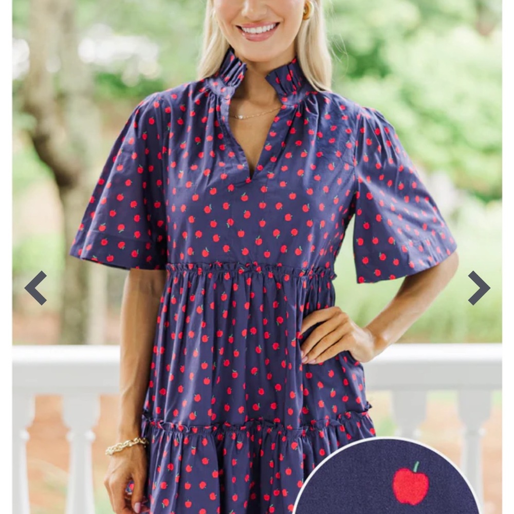 Teacher Apple dress